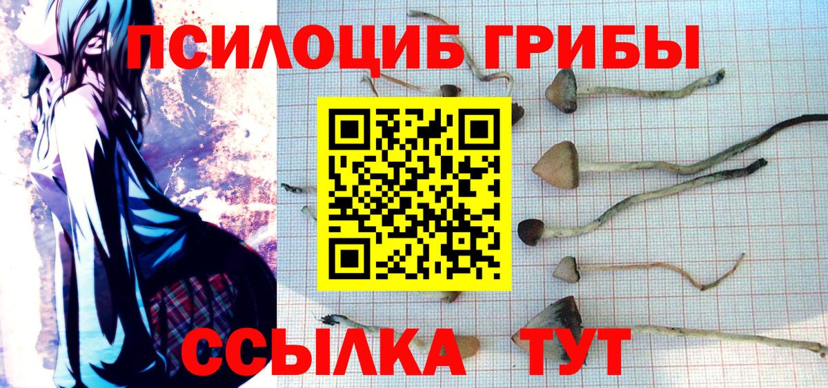 Псилоцибиновые грибы MAGIC MUSHROOMS Ликино-Дулёво